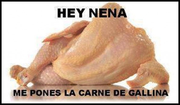 me_ponen_la_carne_de_gallina-x