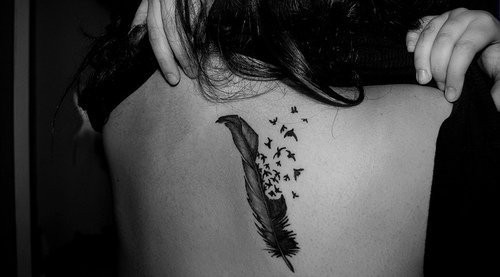 tatuaje-de-plumas-aves