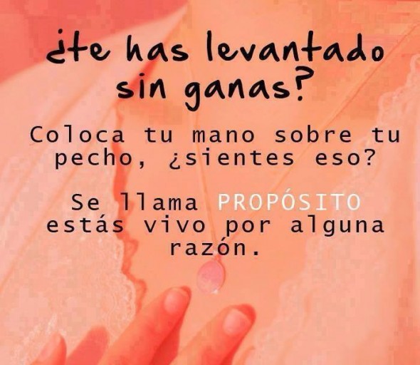 gbghttgg