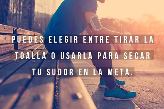 t5trrfrfe