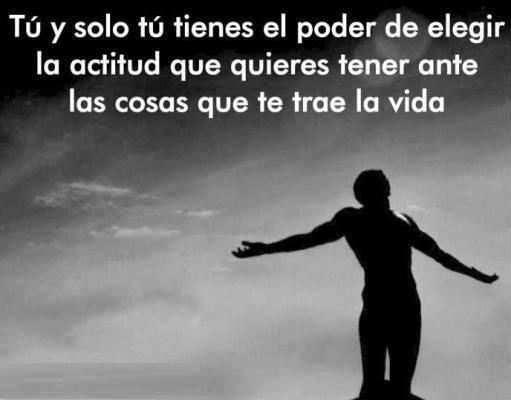 fddss