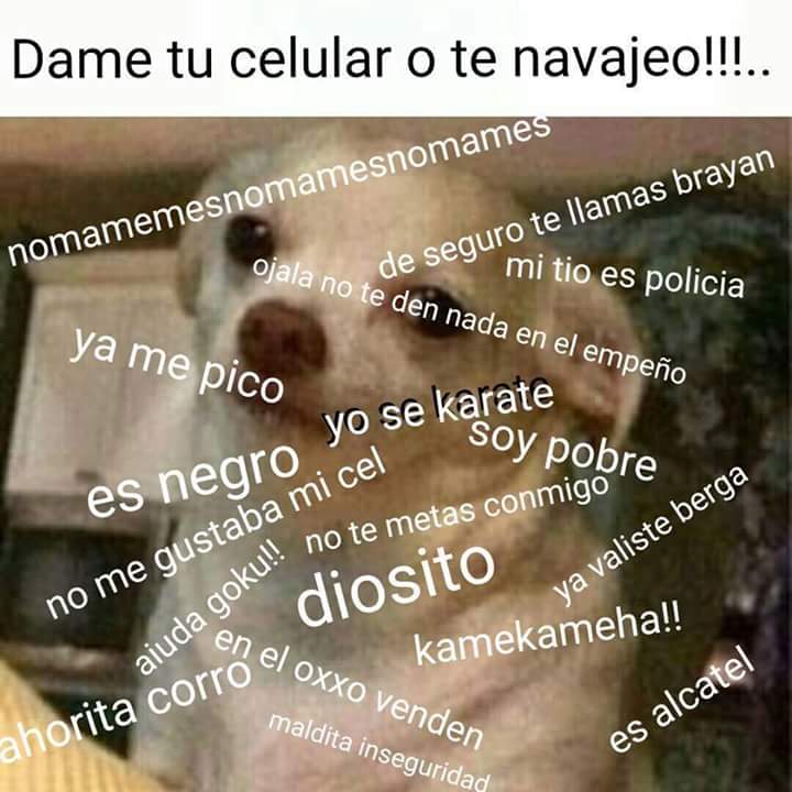 dame-tu-celular