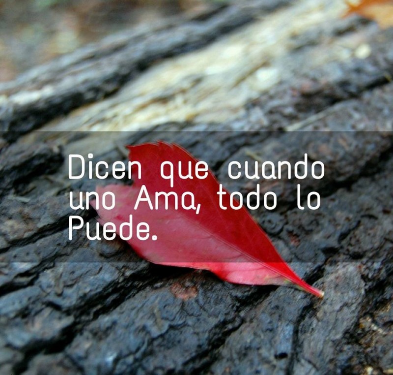 dice que cuando uno ama