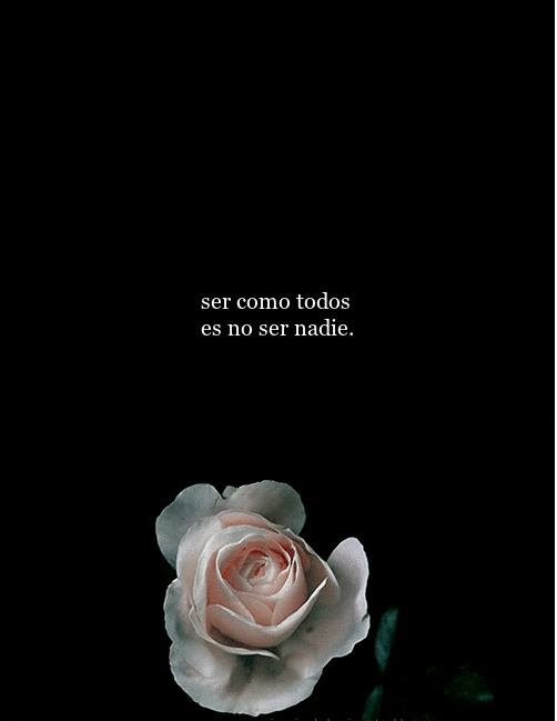 fondo-de-pantalla-de-rosa