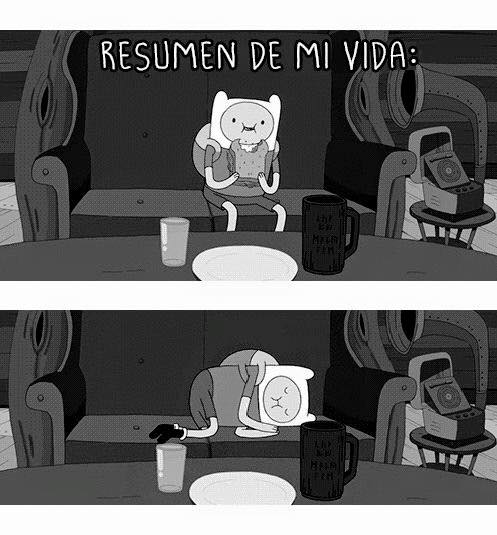 resumen-de-mi-vida