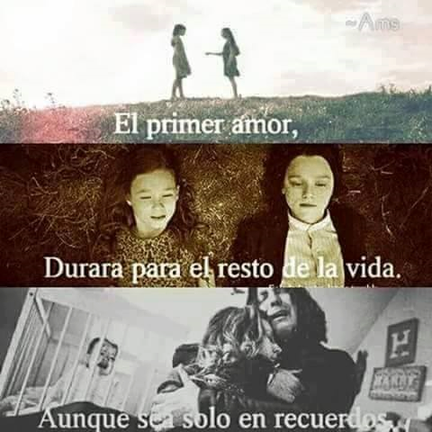 el-primer-amor