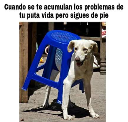 cuando-se-te-acumulan