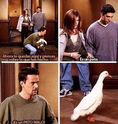 pato-malo