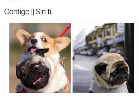 contigo-sin-ti