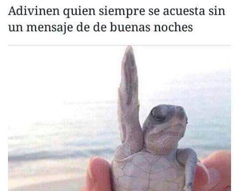 adivinen