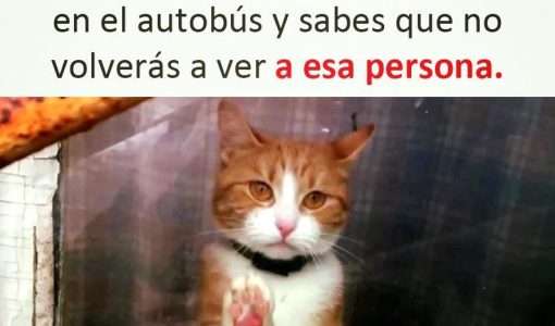 cuando