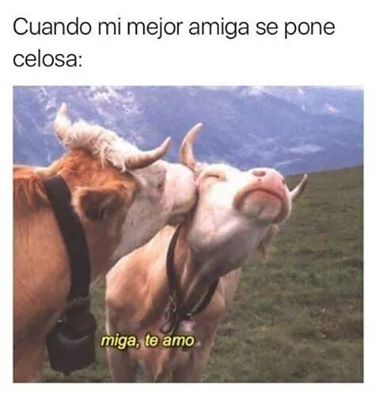 cuando-mi-mejor-amiga