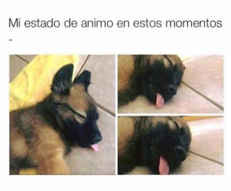 mi-estado-de-animo