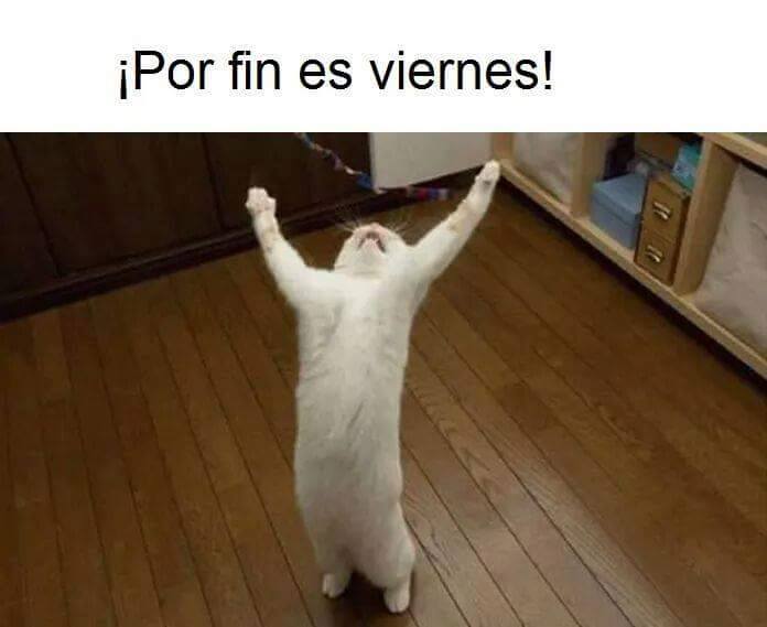 por-fin-viernes
