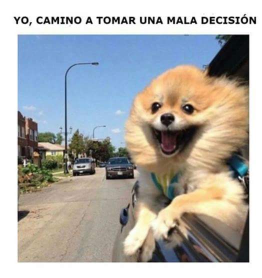 yo-camino