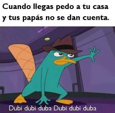 cuando-llegas-a-tu-casa