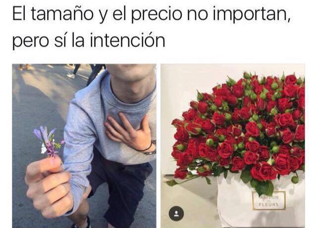 la-intencion
