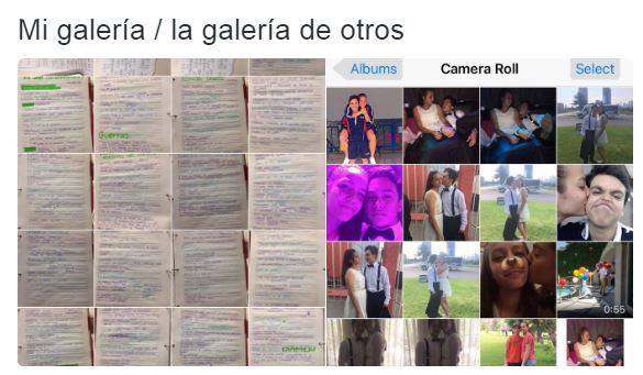 mi-galeria