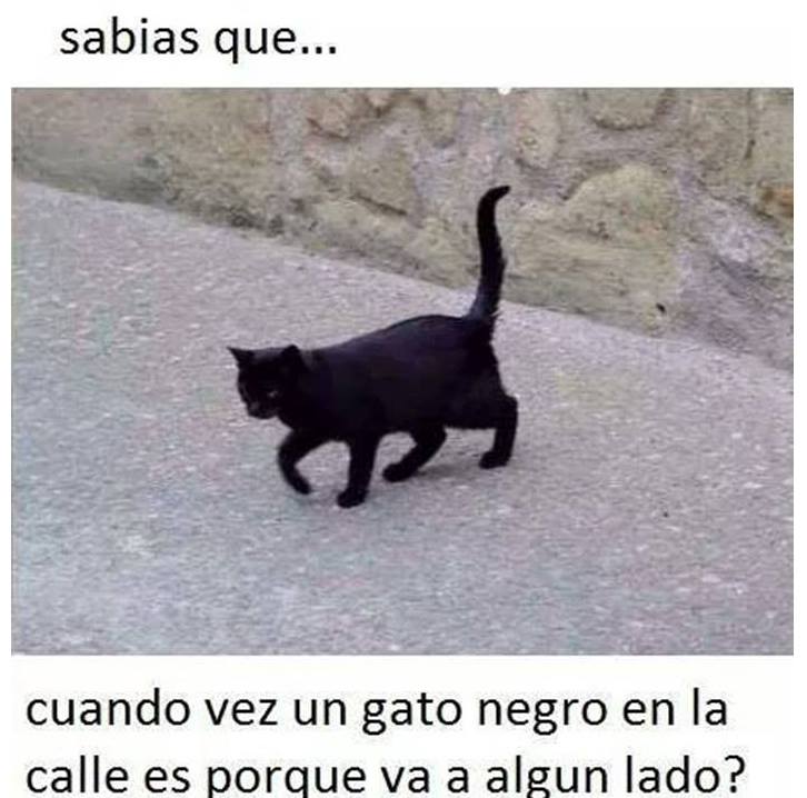sabias-que