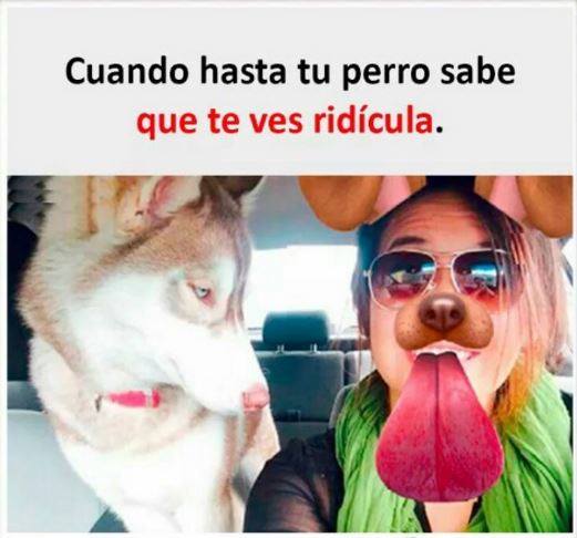 cuando-hasta-tu-perro