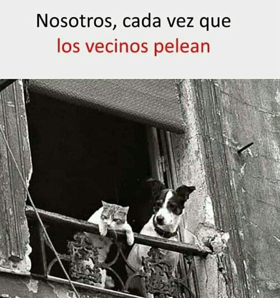Nosotros, cada vez que los vecinos pelean HolaXD